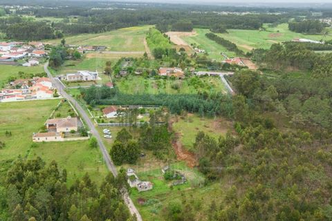 Villa i Cantanhede, Coimbra, Cantanhede - € 37.500 | Ref: LUX_CB-00753 - foto 10
