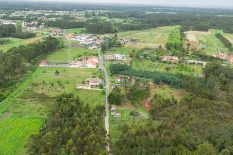 Villa i Cantanhede, Coimbra, Cantanhede - € 37.500 | Ref: LUX_CB-00753 - foto 11