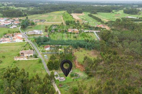 Villa i Cantanhede, Coimbra, Cantanhede - € 37.500 | Ref: LUX_CB-00753 - foto 12