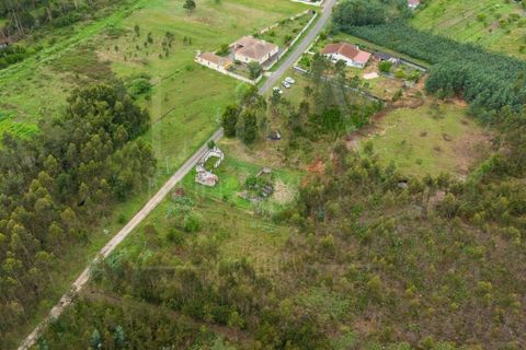 Villa i Cantanhede, Coimbra, Cantanhede - € 37.500 | Ref: LUX_CB-00753 - foto 13