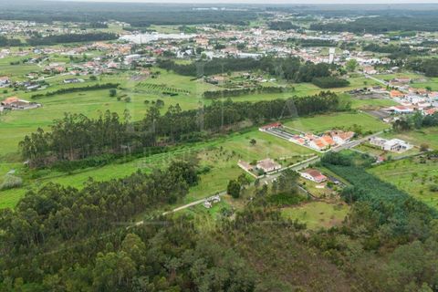 Villa i Cantanhede, Coimbra, Cantanhede - € 37.500 | Ref: LUX_CB-00753 - foto 14