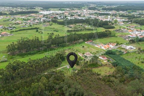 Villa i Cantanhede, Coimbra, Cantanhede - € 37.500 | Ref: LUX_CB-00753 - foto 15