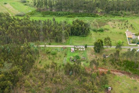 Villa i Cantanhede, Coimbra, Cantanhede - € 37.500 | Ref: LUX_CB-00753 - foto 17