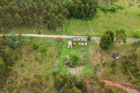 Villa i Cantanhede, Coimbra, Cantanhede - € 37.500 | Ref: LUX_CB-00753 - foto 18