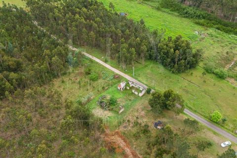 Villa i Cantanhede, Coimbra, Cantanhede - € 37.500 | Ref: LUX_CB-00753 - foto 20