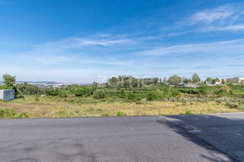 Helårsgrund i Oliveira do Douro, Porto, Oliveira do Douro - € 850.000 | Ref: ZMPT576588 - foto 7