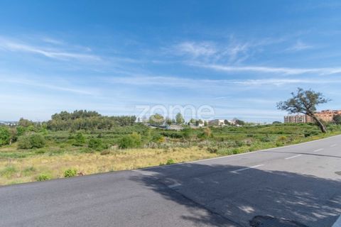 Helårsgrund i Oliveira do Douro, Porto, Oliveira do Douro - € 850.000 | Ref: ZMPT576588 - foto 9