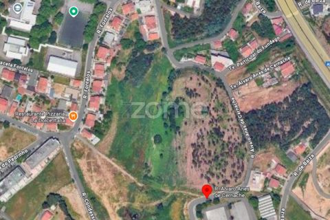 Helårsgrund i Oliveira do Douro, Porto, Oliveira do Douro - € 850.000 | Ref: ZMPT576588 - foto 12
