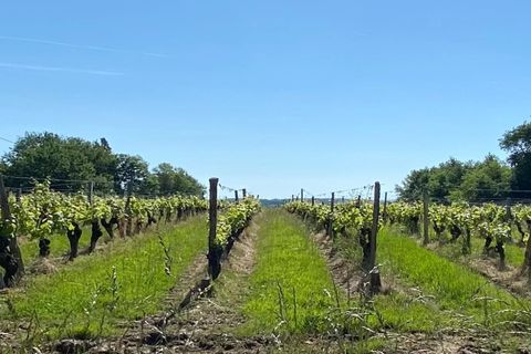 Villa a Bergerac, Dordogne, Bergerac - € 413.400 | Ref: BVI80661 - foto 10