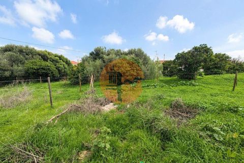 Helårsgrund i Castro Marim, Faro, Castro Marim - € 1.000.000 | Ref: SU-CS-TU-50536 - foto 2