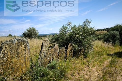 Helårsgrund i Castelo Branco, Castelo Branco, Castelo Branco - € 12.750 | Ref: 5564/EG - foto 10