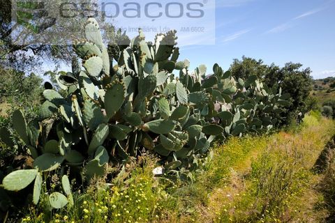 Helårsgrund i Castelo Branco, Castelo Branco, Castelo Branco - € 12.750 | Ref: 5564/EG - foto 11