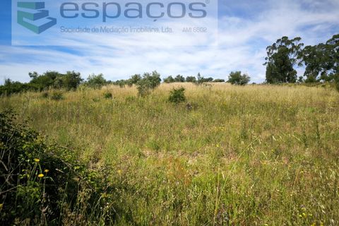 Helårsgrund i Castelo Branco, Castelo Branco, Castelo Branco - € 12.750 | Ref: 5564/EG - foto 13