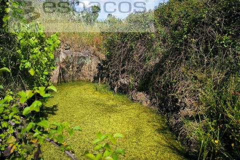Helårsgrund i Castelo Branco, Castelo Branco, Castelo Branco - € 12.750 | Ref: 5564/EG - foto 16