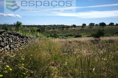 Helårsgrund i Castelo Branco, Castelo Branco, Castelo Branco - € 12.750 | Ref: 5564/EG - foto 17