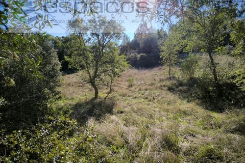 Helårsgrund i Castelo Branco, Castelo Branco, Castelo Branco - € 12.750 | Ref: 5564/EG - foto 1