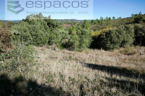 Helårsgrund i Castelo Branco, Castelo Branco, Castelo Branco - € 12.750 | Ref: 5564/EG - foto 2