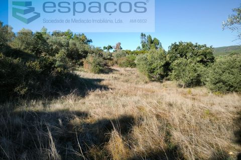 Helårsgrund i Castelo Branco, Castelo Branco, Castelo Branco - € 12.750 | Ref: 5564/EG - foto 4