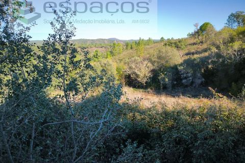 Helårsgrund i Castelo Branco, Castelo Branco, Castelo Branco - € 12.750 | Ref: 5564/EG - foto 5