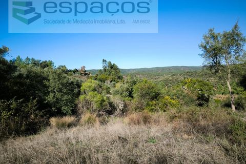Helårsgrund i Castelo Branco, Castelo Branco, Castelo Branco - € 12.750 | Ref: 5564/EG - foto 6