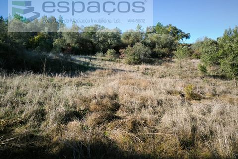 Helårsgrund i Castelo Branco, Castelo Branco, Castelo Branco - € 12.750 | Ref: 5564/EG - foto 7