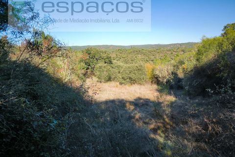 Helårsgrund i Castelo Branco, Castelo Branco, Castelo Branco - € 12.750 | Ref: 5564/EG - foto 14