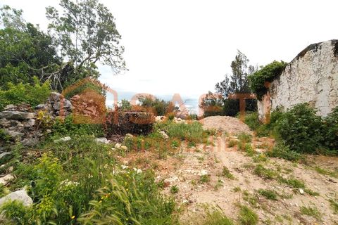 Ruinere i Ansiao, Leiria, Ansiao - € 24.300 | Ref: SAFTI:006720 - foto 14