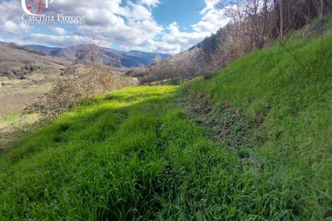 Landejendom i Dicomano, Florence, Dicomano - € 230.000 | Ref: VILL91 - foto 5