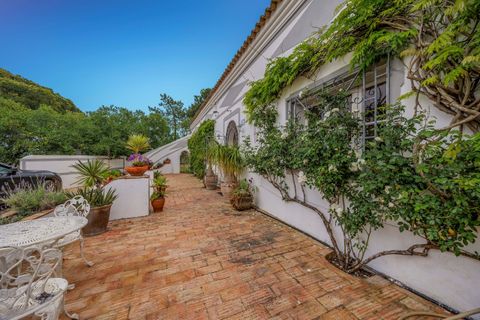 Landejendom i Tavira, Faro, Tavira - € 1.495.000 | Ref: PL/827 - foto 4