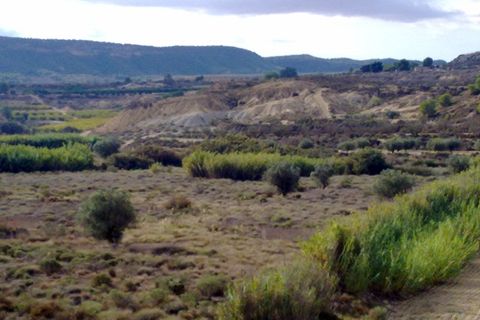 Finca i Orihuela, Alicante, Orihuela - € 150.000 | Ref: D-2047 - foto 8