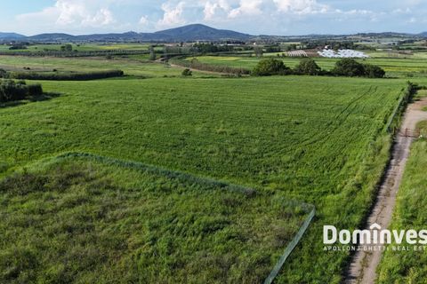 Herregård i Capalbio, Grosseto, Capalbio - € 1 100 000 | Ref: V-181 - foto 4