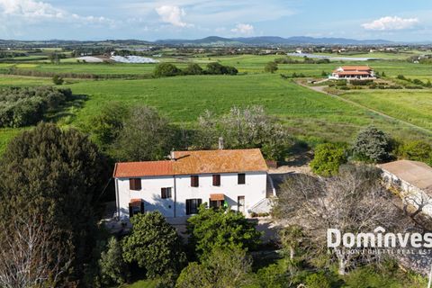 Herregård i Capalbio, Grosseto, Capalbio - € 1 100 000 | Ref: V-181 - foto 7
