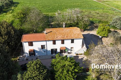 Herregård i Capalbio, Grosseto, Capalbio - € 1 100 000 | Ref: V-181 - foto 8