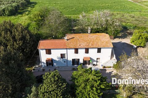 Herregård i Capalbio, Grosseto, Capalbio - € 1 100 000 | Ref: V-181 - foto 9