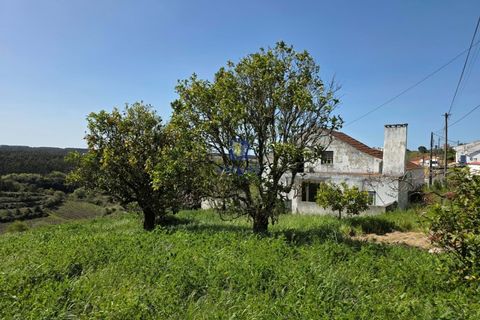 Villa i Vidais, Leiria, Vidais - € 299.000 | Ref: CAL-216792 - foto 1
