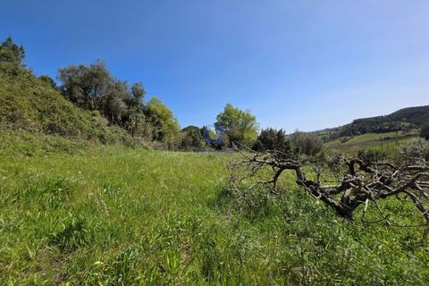 Villa i Vidais, Leiria, Vidais - € 299.000 | Ref: CAL-216792 - foto 2