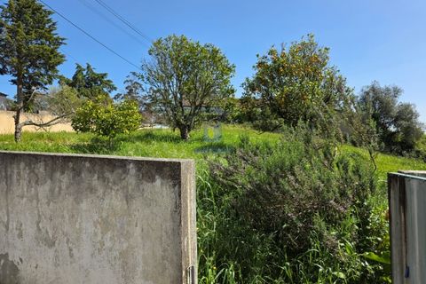 Villa i Vidais, Leiria, Vidais - € 299.000 | Ref: CAL-216792 - foto 16