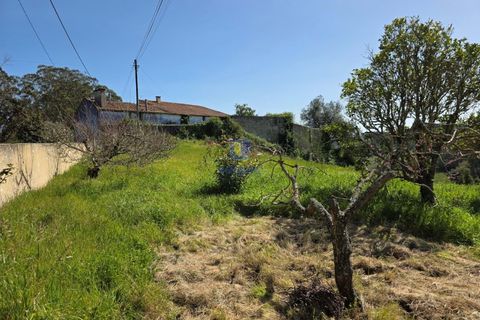 Villa i Vidais, Leiria, Vidais - € 299.000 | Ref: CAL-216792 - foto 17