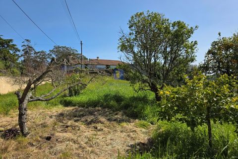 Villa i Vidais, Leiria, Vidais - € 299.000 | Ref: CAL-216792 - foto 18