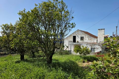 Villa i Vidais, Leiria, Vidais - € 299.000 | Ref: CAL-216792 - foto 19