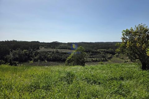 Villa i Vidais, Leiria, Vidais - € 299.000 | Ref: CAL-216792 - foto 20