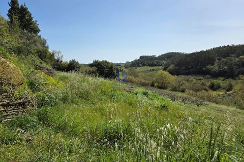 Villa i Vidais, Leiria, Vidais - € 299.000 | Ref: CAL-216792 - foto 25