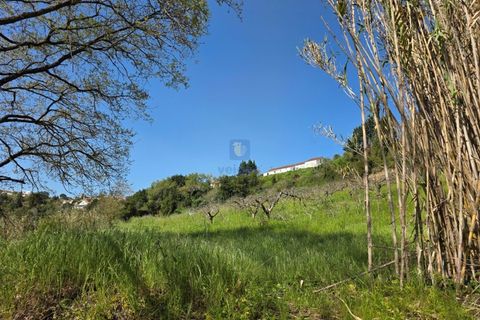 Villa i Vidais, Leiria, Vidais - € 299.000 | Ref: CAL-216792 - foto 26
