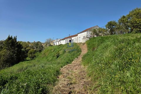 Villa i Vidais, Leiria, Vidais - € 299.000 | Ref: CAL-216792 - foto 27