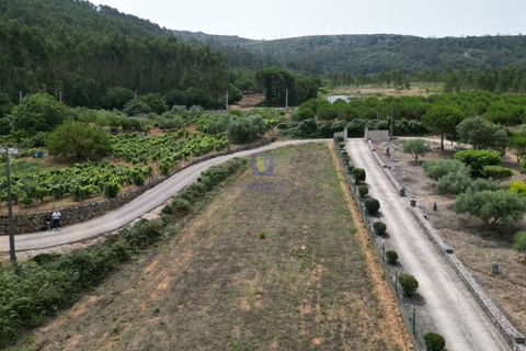 Helårsgrund i Cadaval, Lisbon, Cadaval - € 99.900 | Ref: CAL-216791 - foto 3