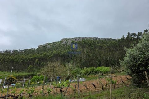 Helårsgrund i Cadaval, Lisbon, Cadaval - € 99.900 | Ref: CAL-216791 - foto 8