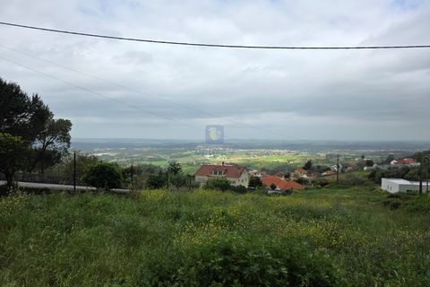 Helårsgrund i Cadaval, Lisbon, Cadaval - € 99.900 | Ref: CAL-216791 - foto 9