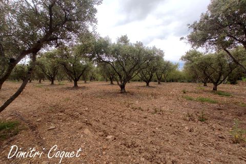 Tomt i Gabian, Herault, Gabian - € 29 000 | Ref: 406857DCOQ - foto 2