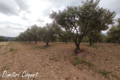 Tomt i Gabian, Herault, Gabian - € 29 000 | Ref: 406857DCOQ - foto 3