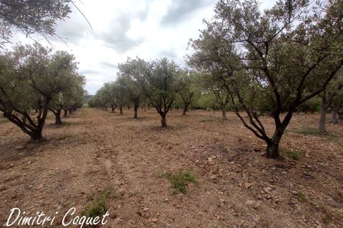 Tomt i Gabian, Herault, Gabian - € 29 000 | Ref: 406857DCOQ - foto 4